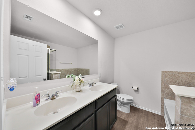 Image 19 of 25 For 3133 Wild Iris