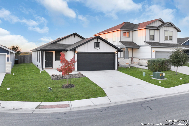 Image 2 of 25 For 3133 Wild Iris