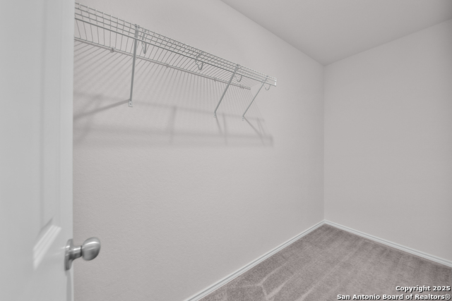 Image 23 of 25 For 3133 Wild Iris