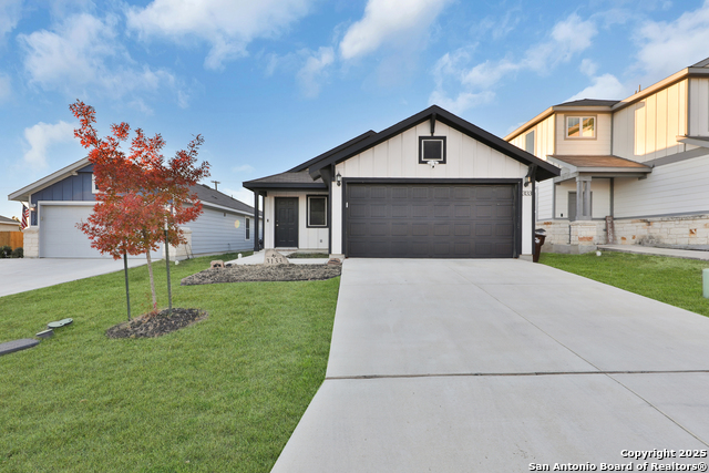 Image 3 of 25 For 3133 Wild Iris