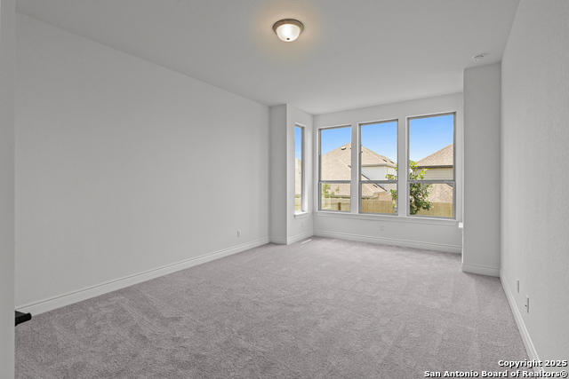 Image 19 of 36 For 208 Brown Swiss