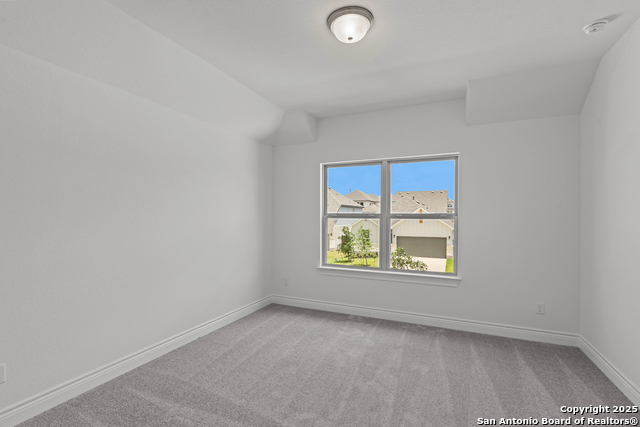 Image 29 of 36 For 208 Brown Swiss