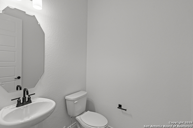 Image 6 of 36 For 208 Brown Swiss