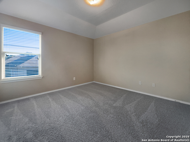 Image 15 of 17 For 6210 Desert Rose