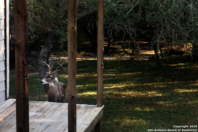 Listing photo id 20 for 445 Scenic Hills