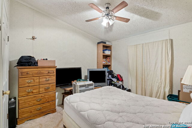 Image 17 of 33 For 300 County Road 307