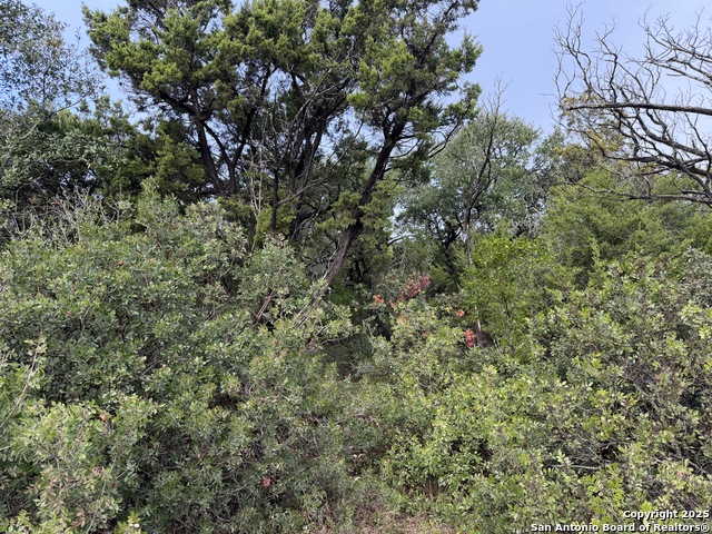 Listing photo id 1 for 19011 Snuggle Cliff