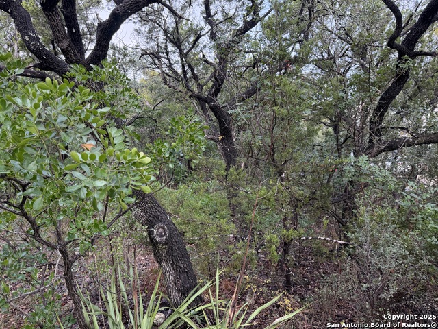 Listing photo id 2 for 19011 Snuggle Cliff