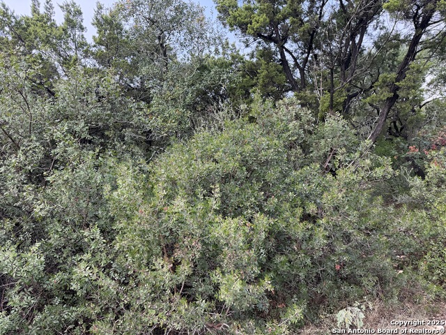 Listing photo id 3 for 19011 Snuggle Cliff