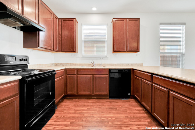 Image 12 of 33 For 1115 Galapagos