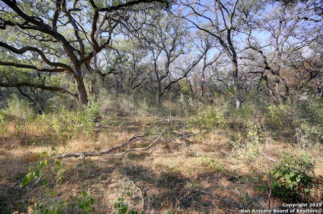 Image 17 of 43 For 14610 Cadillac