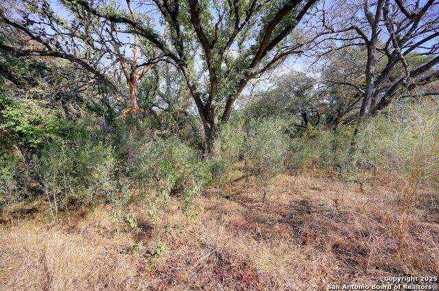 Image 18 of 43 For 14610 Cadillac