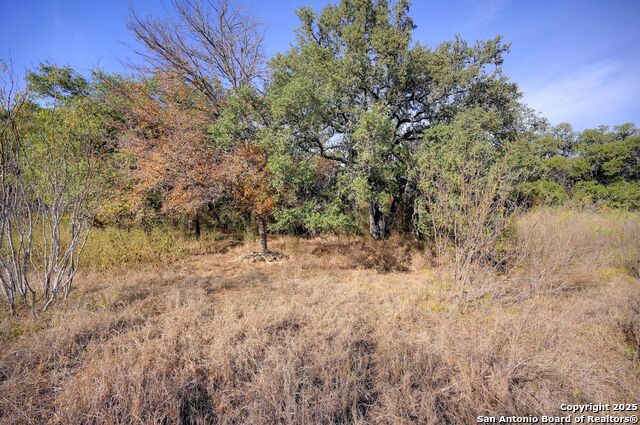 Image 19 of 43 For 14610 Cadillac