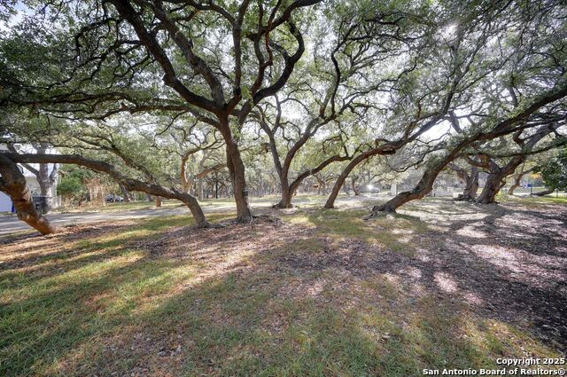 Image 23 of 43 For 14610 Cadillac