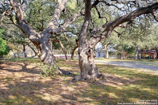 Image 24 of 43 For 14610 Cadillac