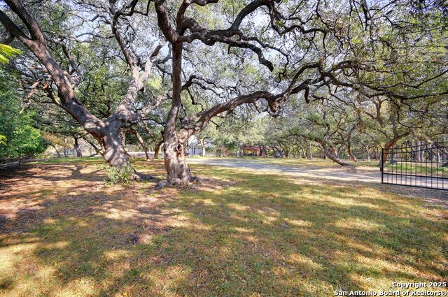 Image 25 of 43 For 14610 Cadillac