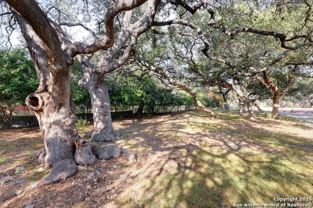 Image 26 of 43 For 14610 Cadillac