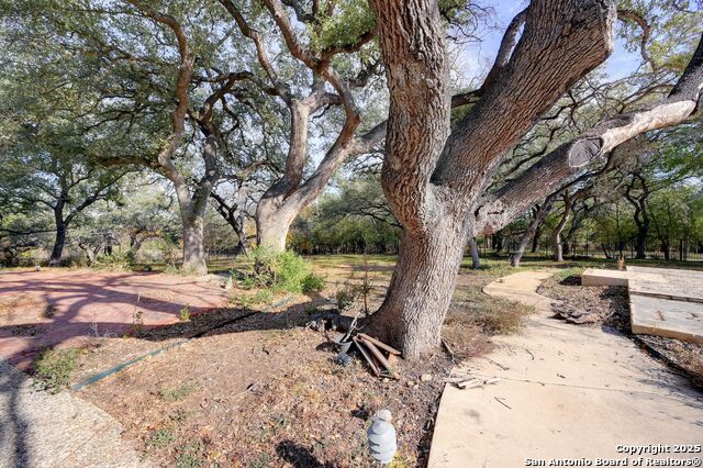 Image 35 of 43 For 14610 Cadillac