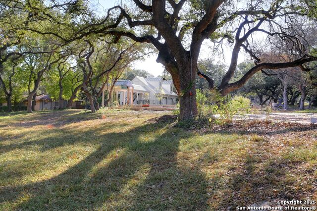 Image 41 of 43 For 14610 Cadillac