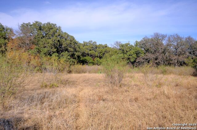 Image 5 of 43 For 14610 Cadillac