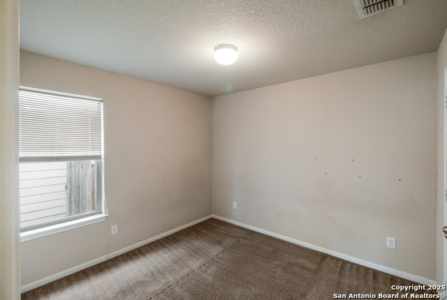 Image 12 of 16 For 8611 Spotted Owl