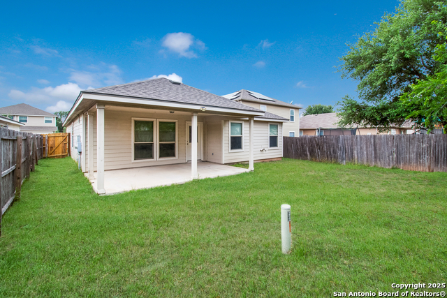 Image 15 of 16 For 8611 Spotted Owl