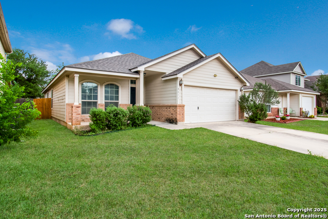 Image 2 of 16 For 8611 Spotted Owl