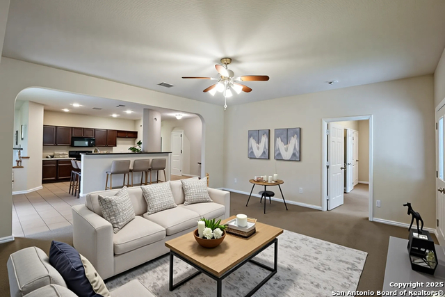 Image 4 of 16 For 8611 Spotted Owl