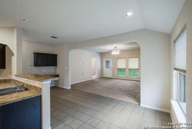 Image 6 of 16 For 8611 Spotted Owl