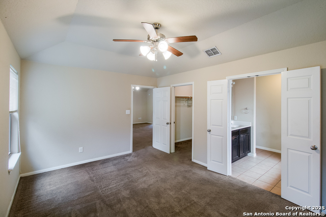 Image 8 of 16 For 8611 Spotted Owl