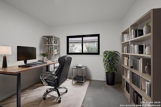 Image 10 of 36 For 7254 Ruby Palm