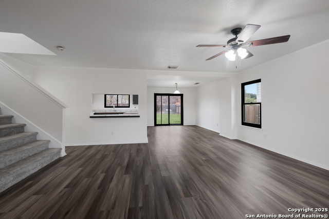 Image 13 of 36 For 7254 Ruby Palm