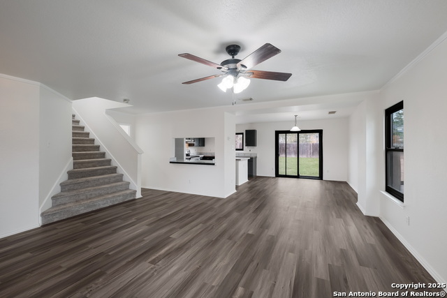 Image 14 of 36 For 7254 Ruby Palm