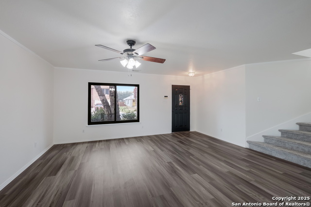 Image 15 of 36 For 7254 Ruby Palm