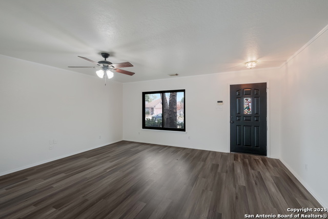 Image 16 of 36 For 7254 Ruby Palm