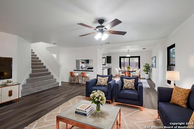 Image 2 of 36 For 7254 Ruby Palm