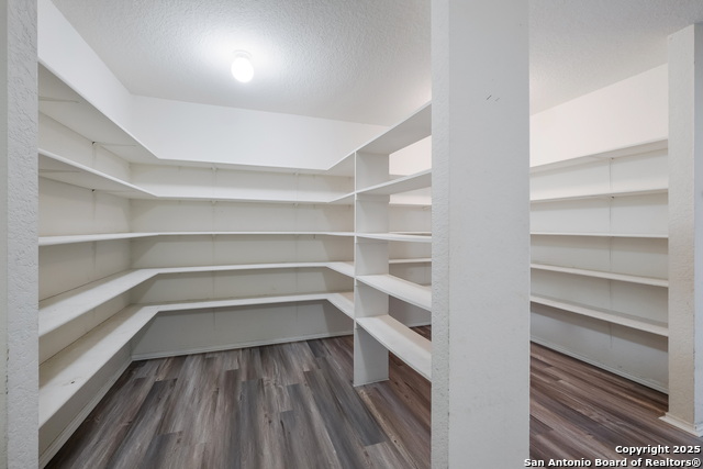 Image 24 of 36 For 7254 Ruby Palm