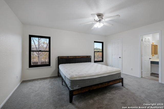 Image 25 of 36 For 7254 Ruby Palm