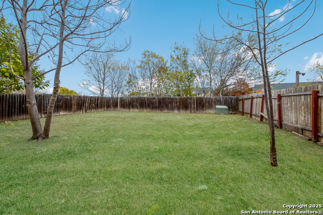 Image 34 of 36 For 7254 Ruby Palm