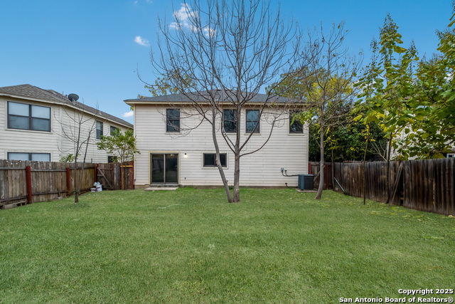 Image 35 of 36 For 7254 Ruby Palm