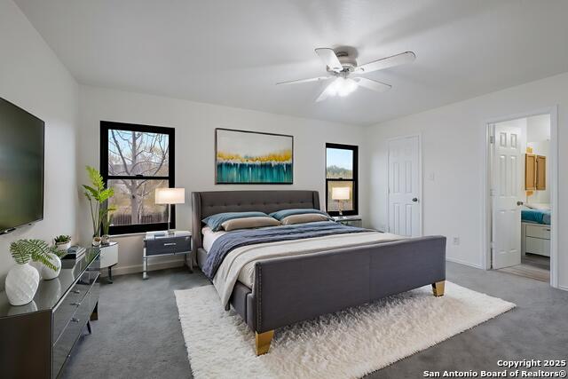 Image 5 of 36 For 7254 Ruby Palm