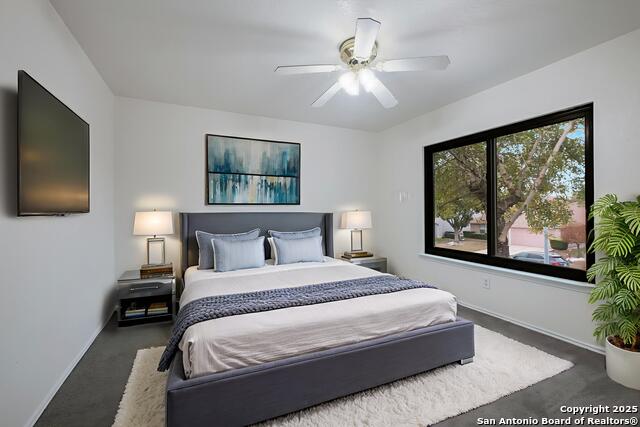 Image 8 of 36 For 7254 Ruby Palm