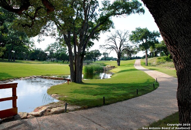 Image 39 of 40 For 217 Peter Kleid Loop