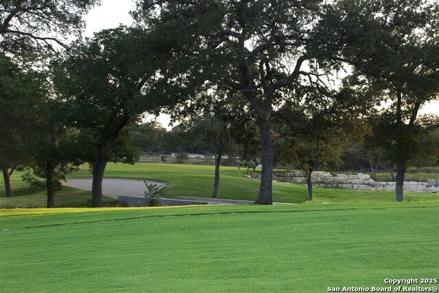 Image 40 of 40 For 217 Peter Kleid Loop