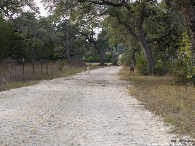 Listing photo id 69 for 315 Flying R Ranch