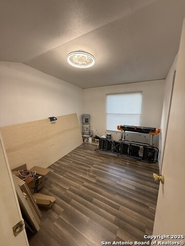 Image 10 of 36 For 13835 Owl Tree