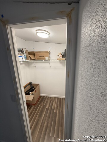 Image 18 of 36 For 13835 Owl Tree