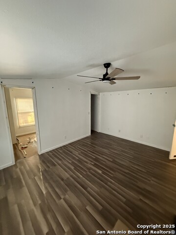 Image 19 of 36 For 13835 Owl Tree