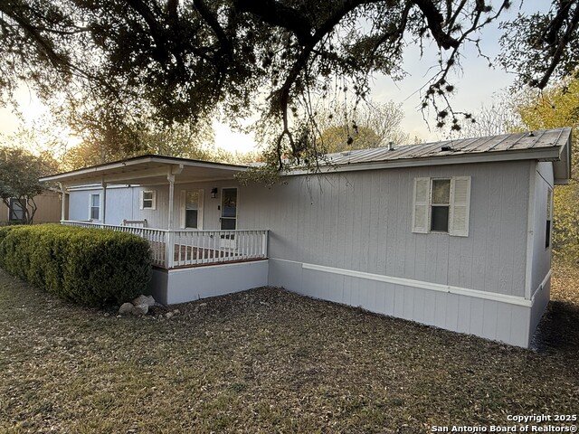 Image 22 of 36 For 13835 Owl Tree