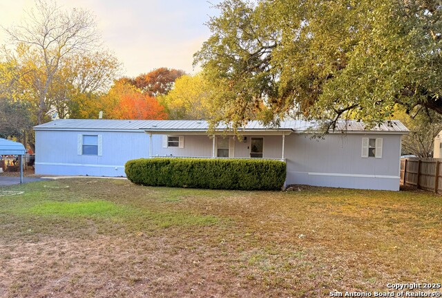 Image 25 of 36 For 13835 Owl Tree